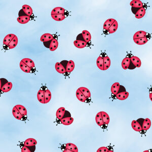 2855 Little Ladybugs Blue Sunshine Days (3028)