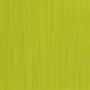 23 Grass Green Raw Silk (2067)