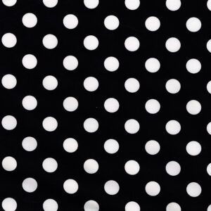 2489 That's It Dot Black and White Basics (3000)