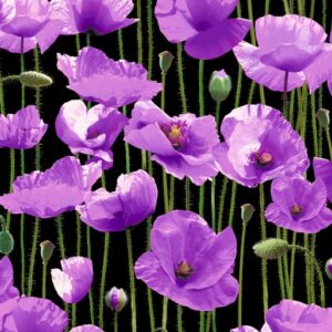 C Purple Poppy Field Black Poppies 108" Wide Backings (1095)