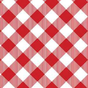 5919 Gingham Check Red/White Chillin & Grillin (3055)