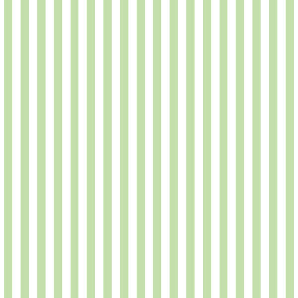 C2 Stripe Green Checks Spots and Stripes (3075)