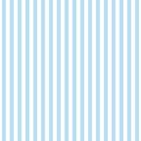 C1 Stripe Sky Checks Spots and Stripes (3075)