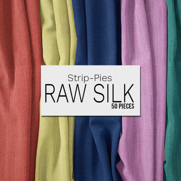 ST Raw Silk Strip Pies 2067 ST 2.5" Strips Pack Raw Silk