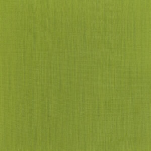 38 Bright Green Raw Silk (2067)