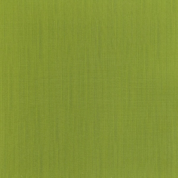 38 Bright Green Raw Silk (2067)
