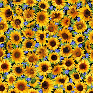 77B Sunflower Meadow Black Summer Sunflowers (3091)