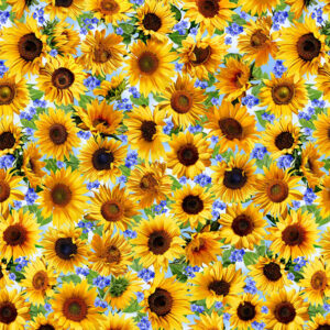 77S Sunflower Meadow Sun Summer Sunflowers (3091)