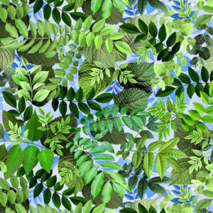 61 Spring Leaf Loden Hydrangea Dreams (3085)