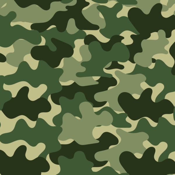 H Camouflage Green Remembering II (3095)
