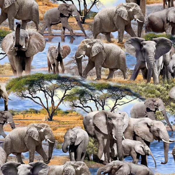 48 Elephants Trunk Show Dawn Serengeti Plains (3137)