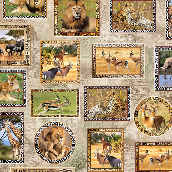 50 Wild Portrait Sand Serengeti Plains (3137)