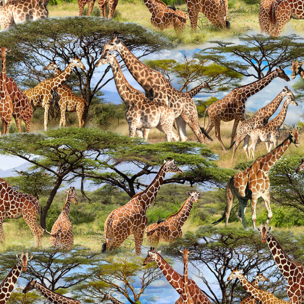 51 Giraffes Savanna Tower Serengeti Plains (3137)