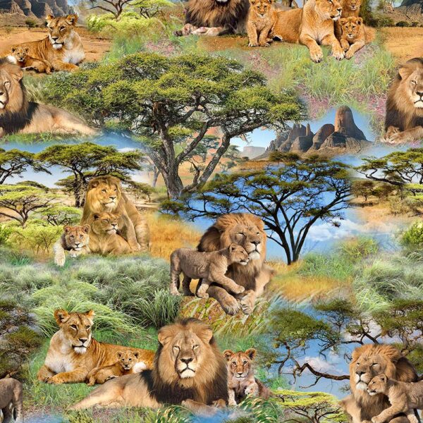 61 African Pride Lions and Tigers Serengeti Plains (3137)
