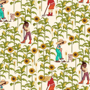 875CR Sunflower and Farmers Cream Farm Days (3129)