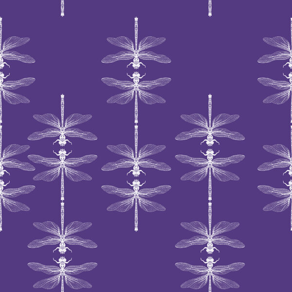 F Dragonfly Purple