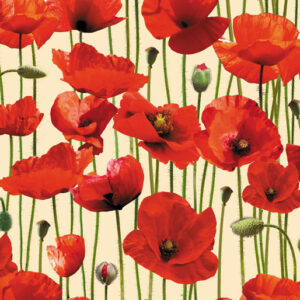 Poppies 108" Wide Backing Red Poppy Field Cream