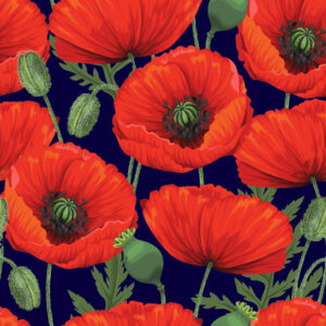 Poppies 108" Wide Backing Red Poppy Navy