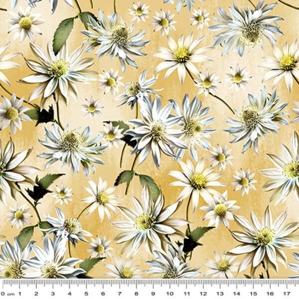 A Gold Flannel Flowers (4043)