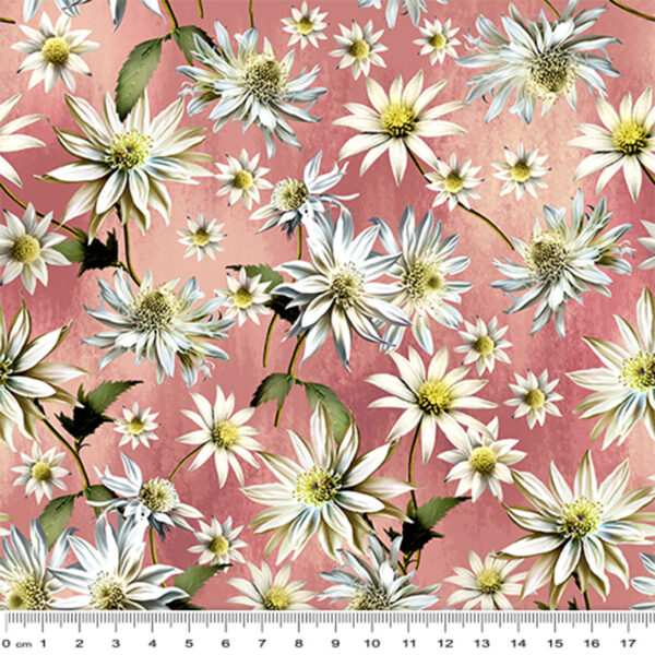 C Pink Flannel Flowers (4043)