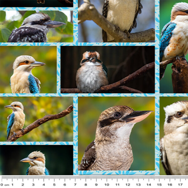 D Collage Echoes of Kookaburra (4038)