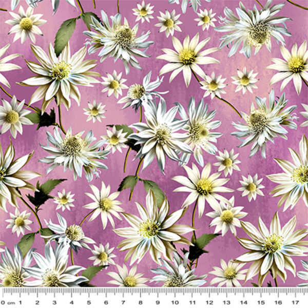 D Purple Flannel Flowers (4043)