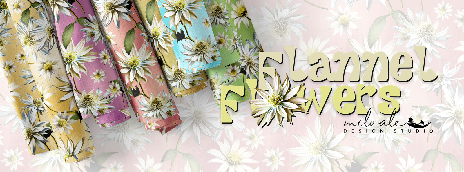 Flannel Flowers - Website Banner