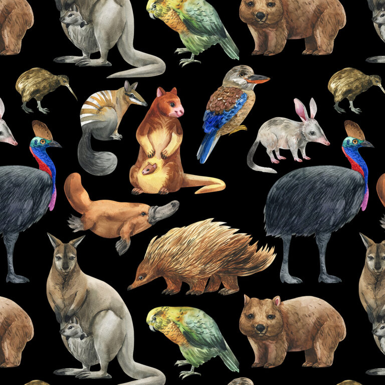 D Australian Animals Black Aussie Allovers (4018) - KK Fabrics