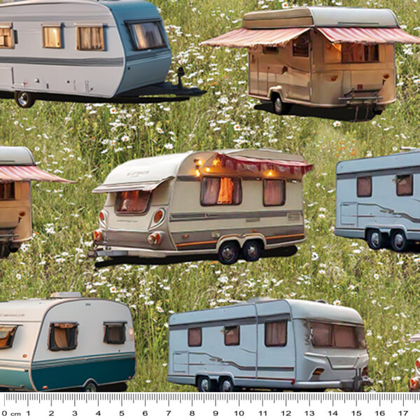 D Caravans Grass Wanderlust Wheels (4063)