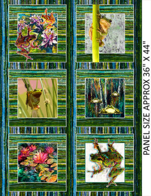 D 13-inch Block Panel Fabulously Froggy (4065)