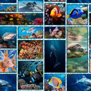 E - Collage Marine Marvels (4058)