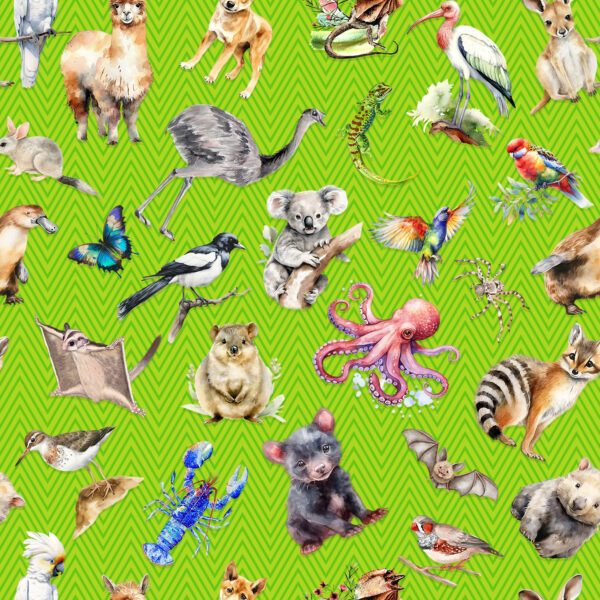 F Animals Chevron Green A is for Aussie (4067)