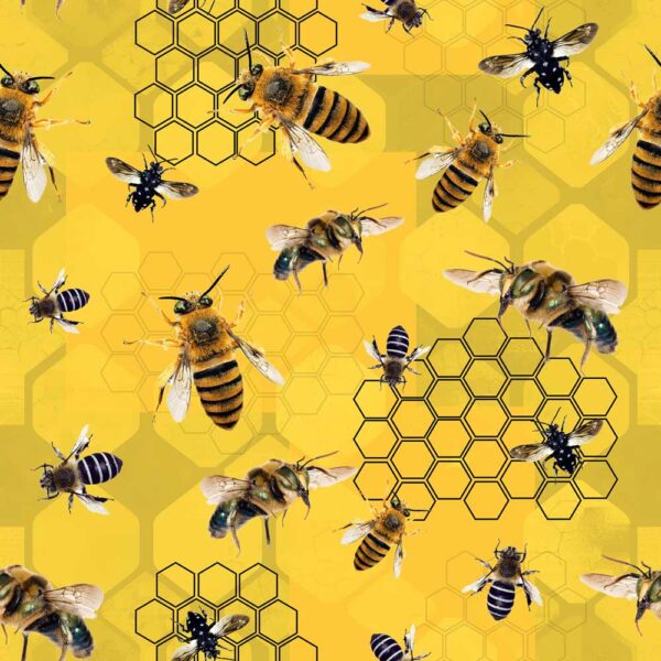 F Australian Native Bees Yellow Honeycomb Harmony (4086)