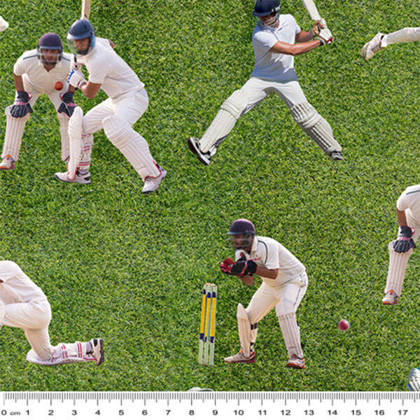 B Cricket Players Grass Cricket Season (4094)