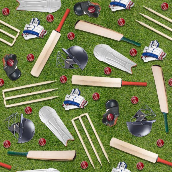 C Cricket Gear Cricket Season 4094