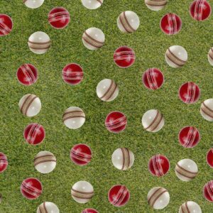 H Cricket Balls Grass Cricket Season 4094