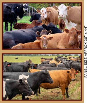 B 36 Inch Panel Homestead Bovine (4101)