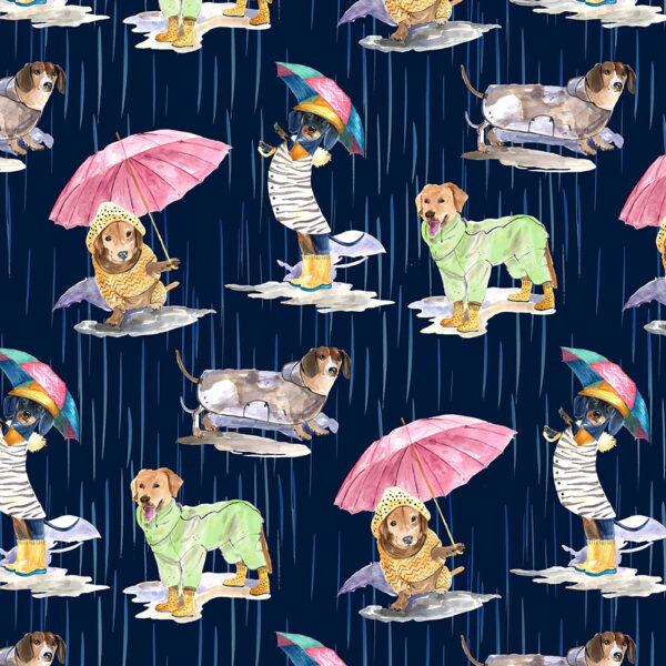 00N Dogs in the Rain Navy Paws in the Rain (4116)