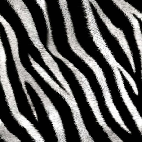 B Zebra Skins of the Wild Wide Backings (4129)