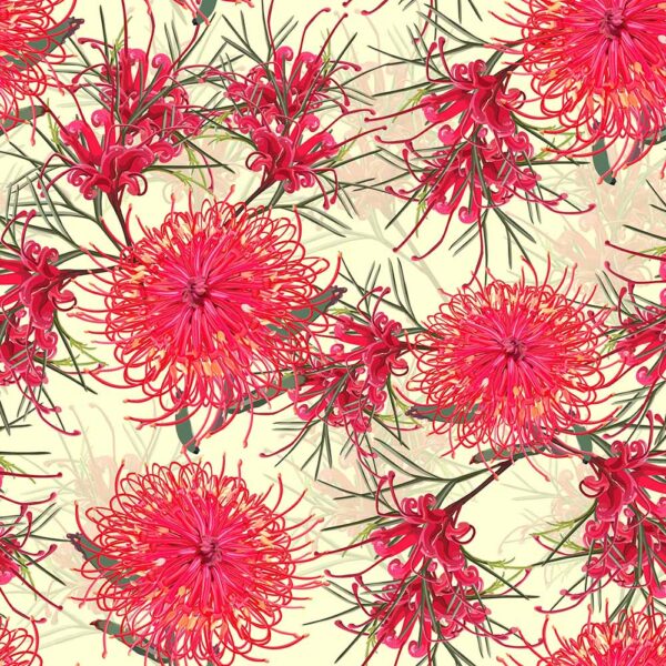 C Red Grevillea Wildflower Whispers (4123)