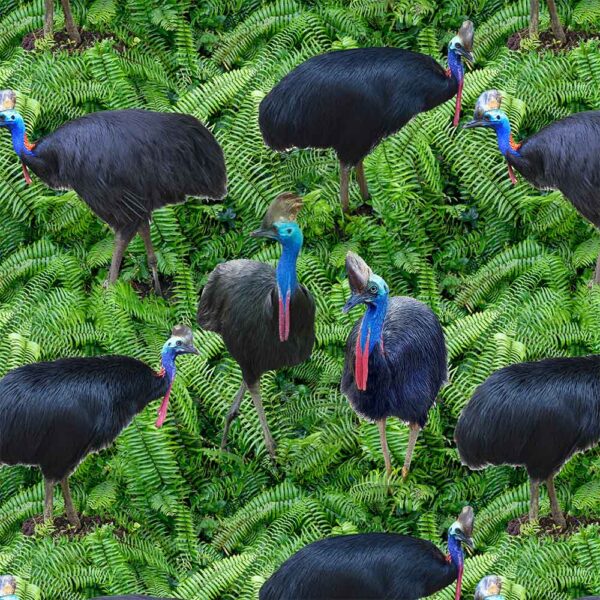 D Cassowary Ferns Cassowary (4132)