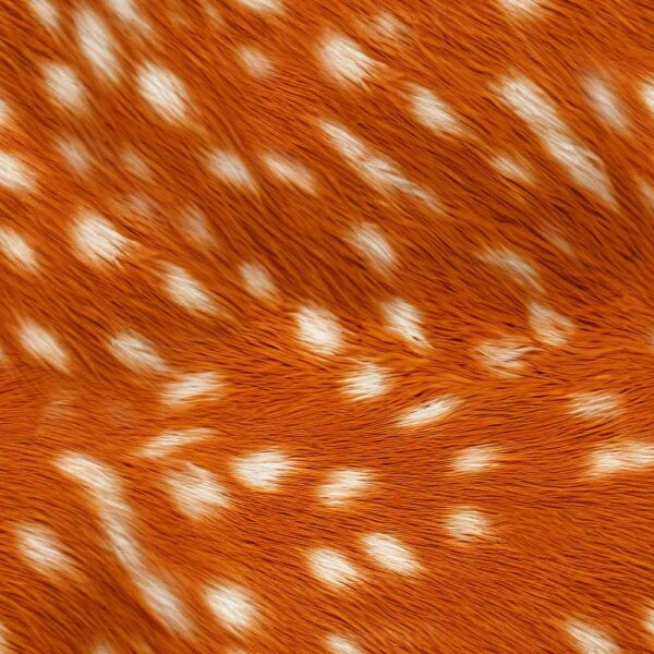 E Deer Skins of the Wild Wide Backings (4129)