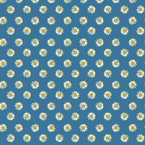 3555 Dainty Daisy Dark Sky A Prairie Heart (4172)