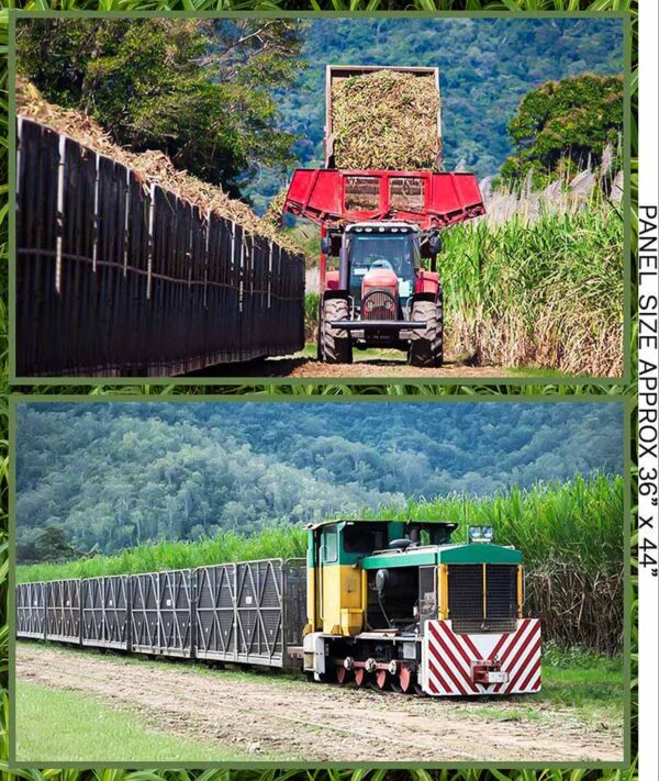 01 36 Inch Sugarcane Panel Tropical North (5006)