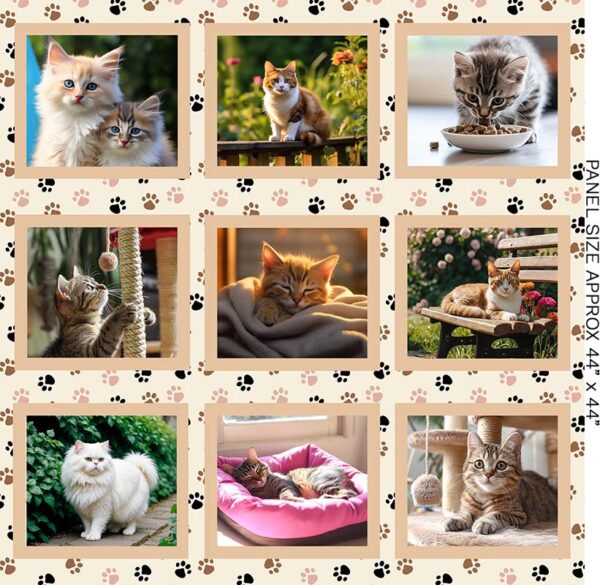 03 Collage Whisker Wonders (5004)