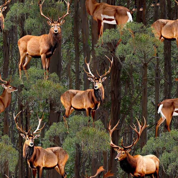 03 Deers In the Scope 5010