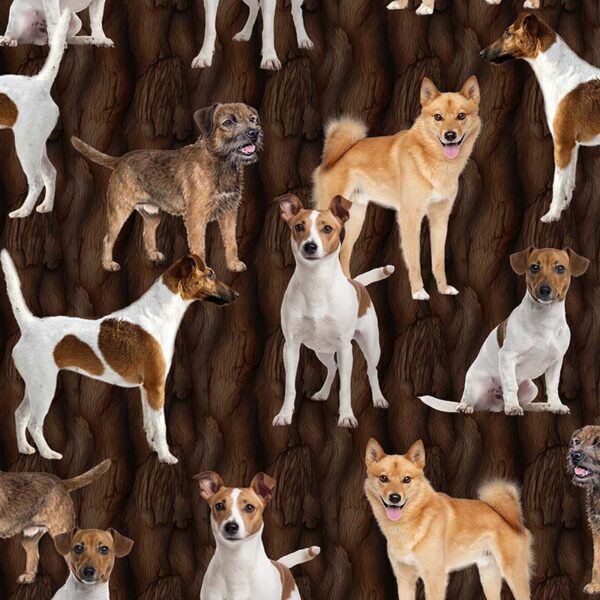 07 Hunting Dogs In the Scope 5010