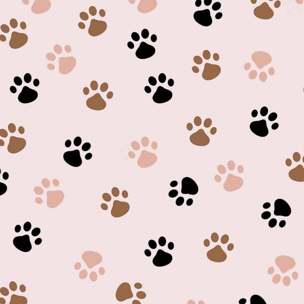 07 Paw Prints Pink Whisker Wonders (5004)