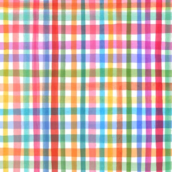 74 Rainbow Plaid Books are Magic (4180)