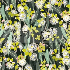 01 Gum Blossoms Black River Walk (5002)